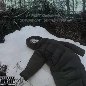 Camest, Холодный семьдесят четвёртый - Надежда