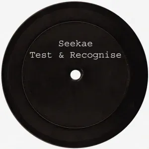 Seekae - Test & Recognise (Flume Re-work)