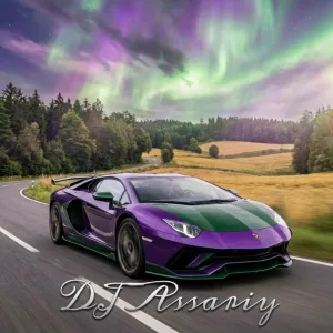 DJ Assariy feat. LYKAS, ВИКА RЯБИНА - Please