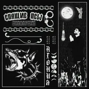 UMSY - ЗНАКИ