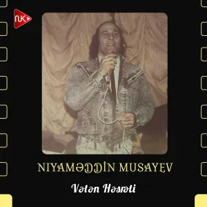 Niyaməddin Musayev - Vətən Həsrəti