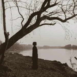 Non Dolet - Dream
