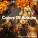 Cafe Music BGM channel - Mosaic Road