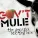 Gov't Mule - Blind Man in the Dark