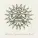 Sol Invictus - Long Live Death (Against the Modern World Version)