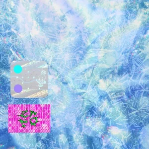 Shinigami feat. fats'e - frozen soul