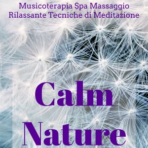 yoga - Shala Yoga (Soothing Music for Yoga)