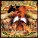Juvenile feat. Mannie Fresh, Lil Wayne - Back That Azz Up