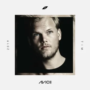 Avicii feat. Bonn - Ain't A Thing