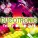 Discotronic - Tricky Disco 2k10