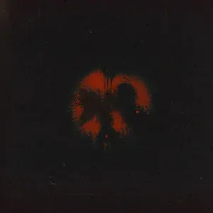 TWEETT - Рентон
