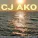 CJ AKO - Красивая музыка для души без слов (Грустная мелодия №3 и бит)