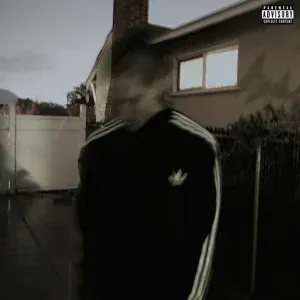 Bones - USB
