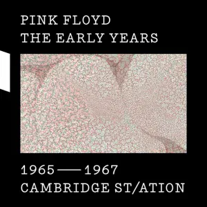 Pink Floyd - I'm A King Bee