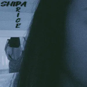 S4ipa - Price