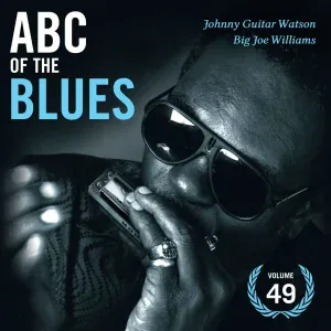 Big Joe Williams - Wanita