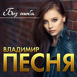 Владимир Песня - Без тебя