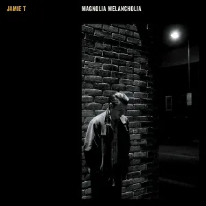 Jamie T - Riverbed