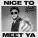 Niall Horan - Nice To Meet Ya