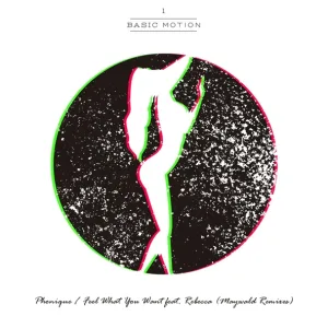Phonique feat. Rebecca - Feel What You Want