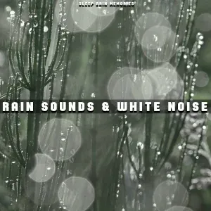 Sleep Rain Memories - Sleep Rain (Loopable)