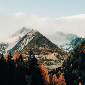 The_Mountain - Determined Flow