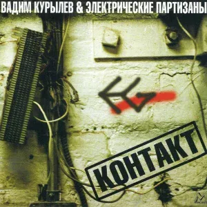 Вадим Курылёв, Электропартизаны - Контакт