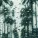 Rain Man Sounds, Nature's Symphony, Sounds of Nature Relaxation - Sound of Storms