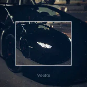 VodKe feat. 无 - Excellence（Remake)