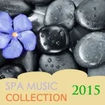 Spa Music - Beta Waves for Concentration and Serenity