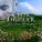 Celtic Thunder feat. Damian McGinty - Falling Slowly