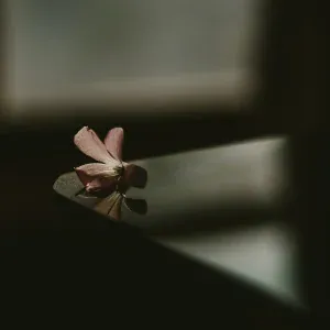 Glass Tides - I Like the Way You Kiss Me