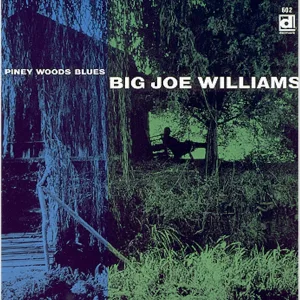 Big Joe Williams - Good Morning Little Schoolgirl