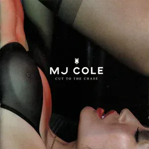 MJ Cole feat. Elephant Man - Mad Man