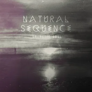 Natural Sequence feat. Fd Vadim feat. Fd Vadim - Love