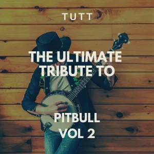 TUTT - Back In Time (Karaoke Version Originally Performed By Pitbull)