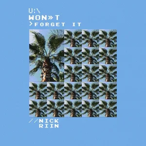 Nick Riin - You Won't Forget It