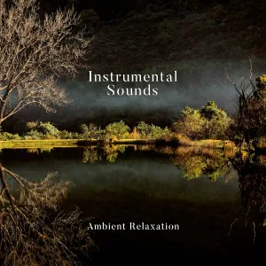 instrumental - You Can’t Hurry Love