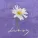 PENTAGON - Daisy