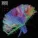 Muse - Survival