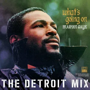 Marvin Gaye - What's Going On