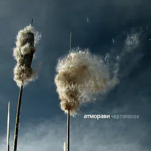 Атморави - Цеилон