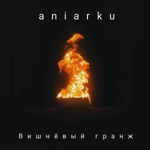 aniarku - Когда Всё Достало