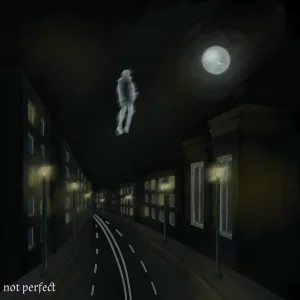 ~v - Not Perfect