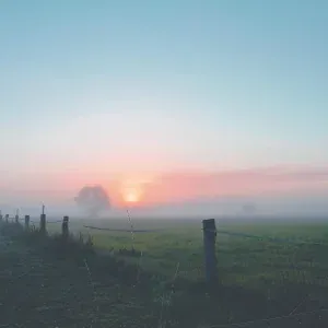 White Noise Babies, Sounds of Nature Relaxation, Rain Sounds - Peace and Quiet