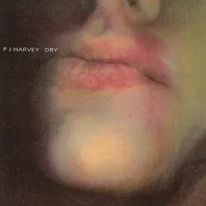 PJ Harvey - Joe