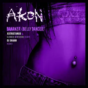 Akon feat. DJ Shaan - Bananza (Belly Dancer)