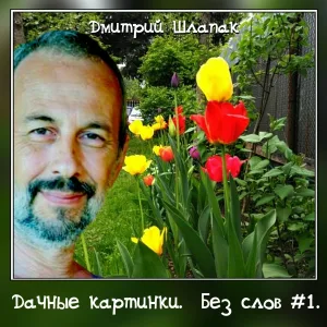 Дмитрий Шлапак - Ясколка
