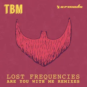 Lost Frequencies - Are You with Me
