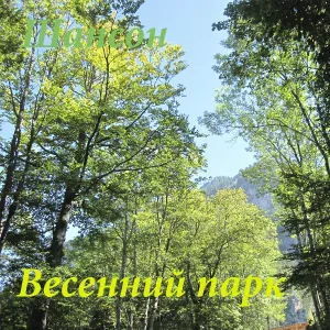 Владимир Маркин - Белая черемуха